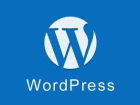 WordPress Qui-Pure轻量简约博客主题